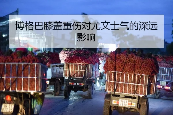博格巴膝盖重伤对尤文士气的深远影响